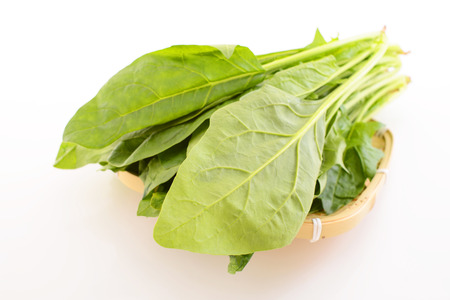 Fresh vegetablesの写真素材