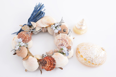 Wreath of sea shellsの写真素材