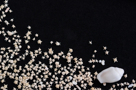 Star sands with sea shellの写真素材