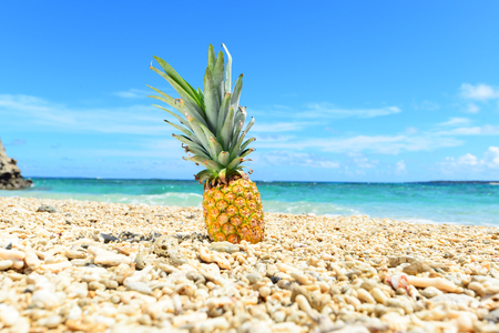 Summertime at the beachの写真素材