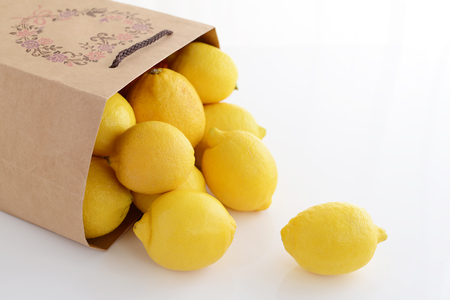 Fresh lemonsの写真素材