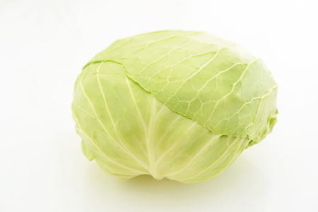 Fresh cabbageの写真素材