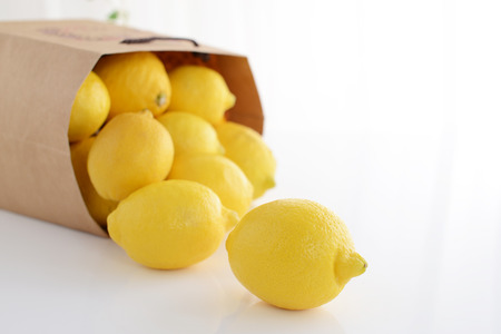 Fresh lemonsの写真素材