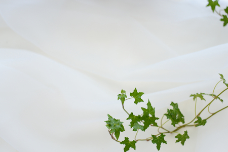 Abstract white soft chiffon texture backgroundの写真素材