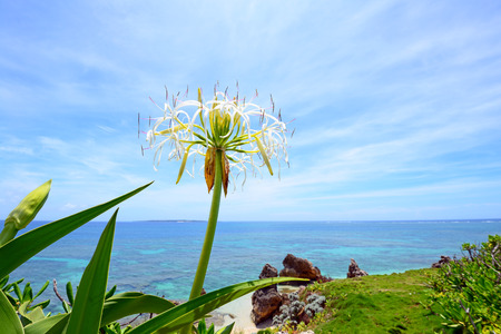Beautiful sea and sky in Okinawaの写真素材