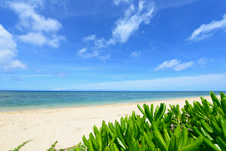 Picture of a beautiful beach in Okinawaの写真素材