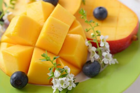 Fresh tropical fruitsの写真素材