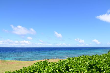 Picture of a beautiful beach in Okinawaの写真素材