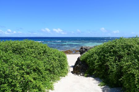 Blue sky and sea of Okinawaの写真素材