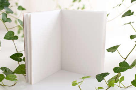 Blank notebook on the desk.の写真素材