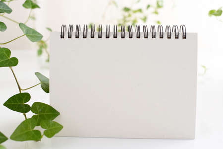 Ring binder book on the desk.の写真素材