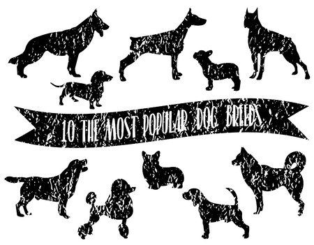 Dog breeds set. Dogs icons. Dog breeds silhouette. The most popular dog breeds with crumpled paper effect.のイラスト素材
