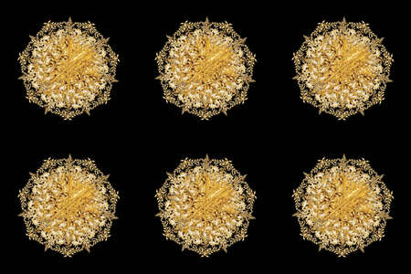 Snowflake with golden leaves vintage elements on colorful background.の写真素材