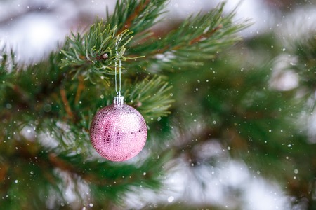 Christmas pink ball on a Christmas tree branch over blurred background. Space for text. It's snowingの写真素材