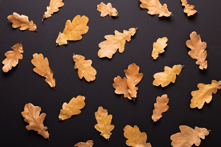 Autumn background. Dry oak leaves on black table. Top view. Flat lay.の写真素材