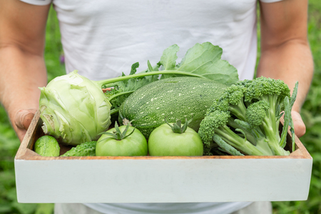 Farmer holding box with green organic vegetables. Copy Spaceの写真素材