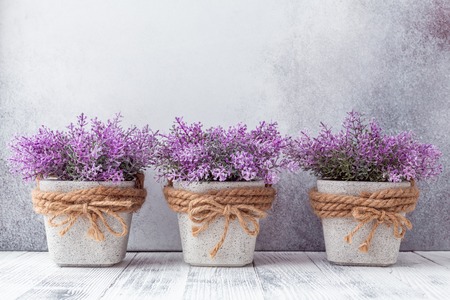 Small purple flowers in gray ceramic pots on stone background Rustic style Copy spaceの写真素材