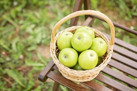 Green apple in wicker basket on garden chair Green grass Harvest time Organic food Copy spaceの写真素材