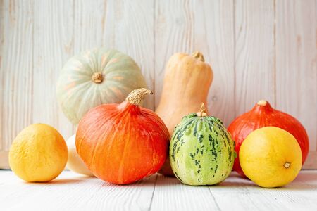 Colorful different pumpkins in front of wooden wall Rustic styleの写真素材