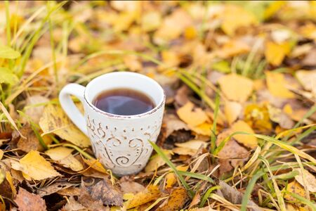 Cup of tea on yellow foliage. Walk in the autumn forest Sun flare - Image