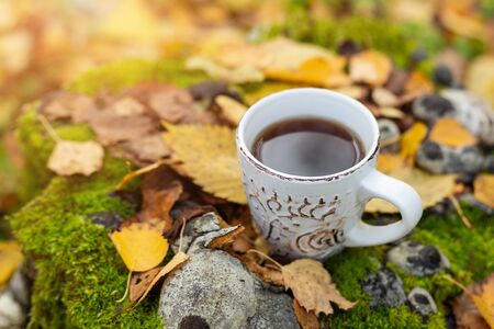 Cup of tea on yellow foliage. Walk in the autumn forest Sun flare - Imageの写真素材