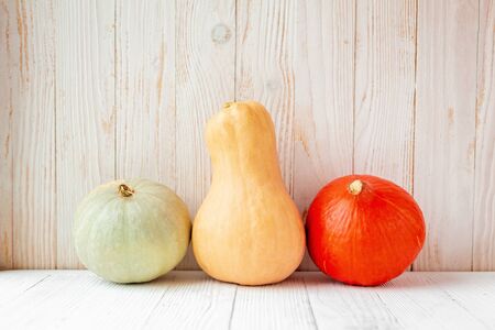 Colorful different pumpkins in front of wooden wall Rustic styleの写真素材
