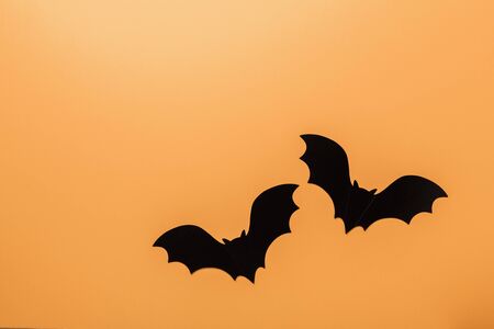 Halloween decorations concept. Black paper bats on orange background. Top view Copy space - Imageの写真素材