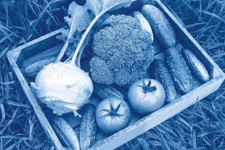 Fresh green vegetables in the wooden box on the grass Copy space. Classic Blue trendy color of the year 2020 - Imageの写真素材