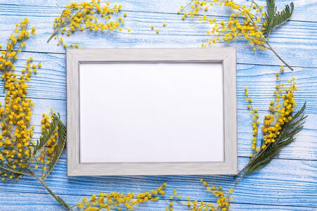 Easter decor with mimosa flowers and frame on blue wooden table. Mockup with a gray frame. Top view. Copy space - Imageの写真素材
