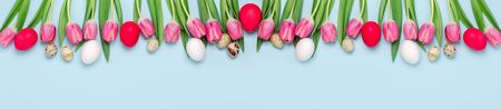 Long horizontal banner with multicolored easter eggs and pink tulips on blue background. Easter...