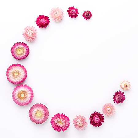 Flower composition. Frame made of dry flowers on white background. Flat lay. Top view. Copy space....