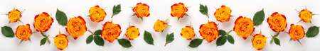 Flowers composition. Extra long banner with rose flowers and green leaves on white background. Mothers day, womens day concept. Flat lay, top viewの写真素材
