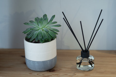 Aroma reed diffuser and succulent in ceramic pot on wooden table. Home perfume in glass bottle with black wood sticks. Hygge and cosiness conceptの写真素材