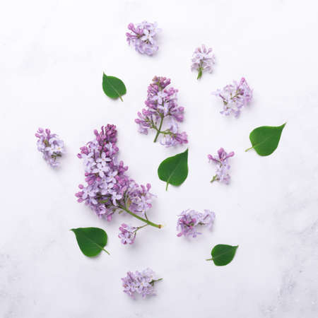 Beautiful flower background with lilac flowers and green leaves. Mothers day, womens day concept....