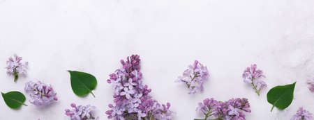 Extra long banner with lilac flowers on stone background. Mothers day, womens day concept. Flat lay, top view. Copy spaceの写真素材