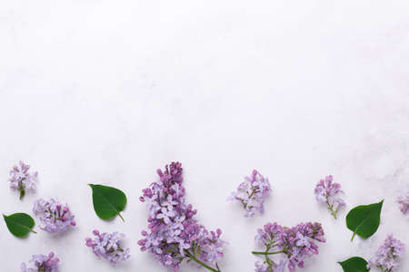 Beautiful flower background with lilac flowers and green leaves. Mothers day, womens day concept. Copy space for your congratulationsの写真素材