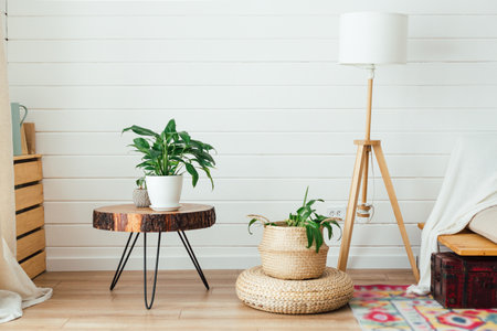 Modern interior with plants on wooden table. Cozy interior in boho style. Real photoの写真素材