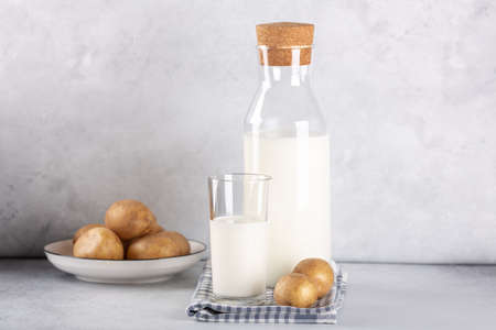 Dairy-free potato drink in glass and bottle. Alternative potato milk and potato tubers on gray table. Copy spaceの写真素材