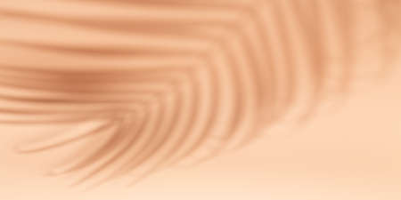 Horizontal banner with natural palm shadows on beige wall. Floral silhouette on gray background - Imageの写真素材