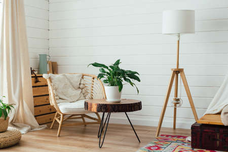 Rattan armchair and floor lamp in living room interior with plants. Cozy interior in boho style. SOFT FOCUS - Imageの写真素材