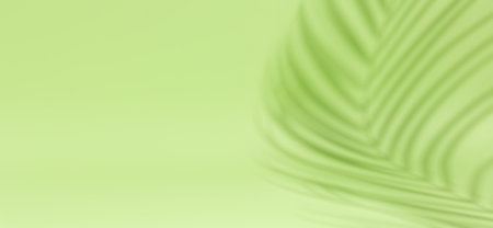 Long floral banner with natural palm shadows on green background. Aesthetic sunlight shadow silhouetteの写真素材