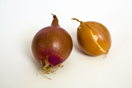 two fresh onions, one of which is red onion,  isolated on white background with slight shadowの写真素材