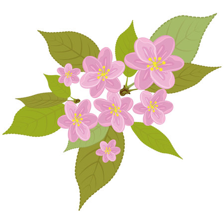 A floral wreath of pink flowers with leaves. Realistic hand-drawn. Cherry blossomsのイラスト素材