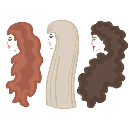 Long hair in girls. Blonde, brunette, brown-hairedのイラスト素材