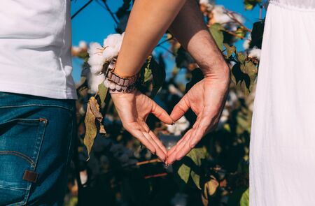 A couple show heart with hands in cotton field. Woman in white dress and man in blue jeans and white T-shirt. Girl and boy holding hands. Couple on valentines day. Clock and decoration on woman's handの写真素材