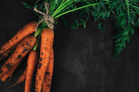 Top view close-up bouquet of fresh carrots with green leaves on a dark background with space for text. Organic eco food. Carrots with green tops tied with rope. Healthy diet. Freshly picked vegetablesの写真素材
