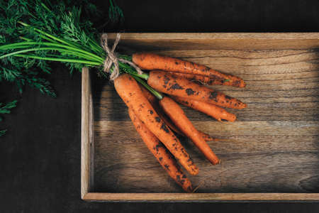 Close-up bouquet of fresh carrots with green leaves on wooden board on dark background. Organic eco food. Carrots with green tops tied with rope. Healthy diet. Freshly picked vegetables with groundの写真素材
