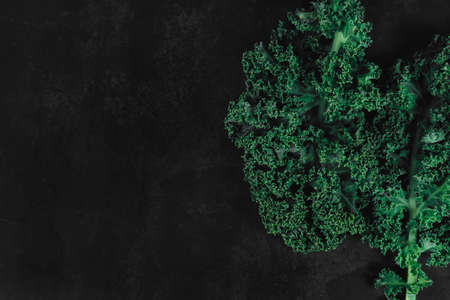 Top view of green fresh curly lettuce on a dark textural background with place for text. Organic eco food. Healthy diet. Freshly picked vegetables. Fresh greens for salad. Natural organic food.の写真素材