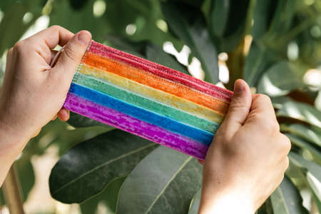 Pride. Medical LGBT mask in rainbow colors in male hands on a blurred background of green leaves. Covid 19 protection. LGBT community flag. Protective medical face mask. Stay home concept. Bannerの写真素材