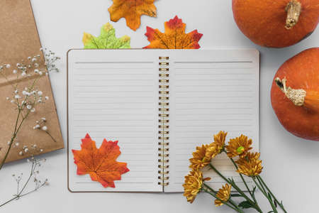 Blank open notepad, diary mockup with two orange pumpkins and dried leaves and flowers on white...